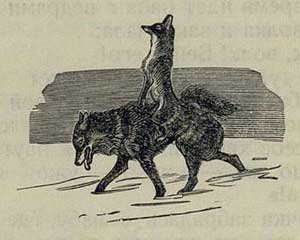 Лиса и волк - Толстой А.Н., рис.5