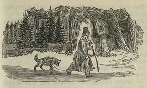 Медведь и собака - Толстой А.Н., картинка
