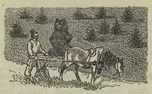 Мужик и медведь - Толстой А.Н., картинка