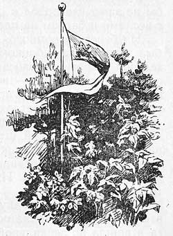Поднятие флага - Толстой А.Н., картинка
