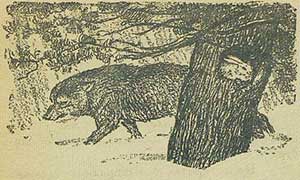 Заяц (Сказка Толстого А.Н.), картинка