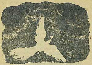 Жар-птица - Толстой А.Н., картинка