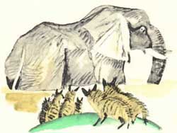 Шакалы и слон (Сказка Толстого Л.Н.), картинка