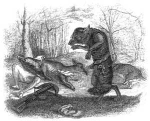Волк и лук (Сказка Толстого Л.Н.), картинка