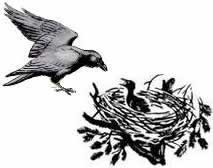Ворон и воронята (Сказка Толстого Л.Н.), картинка