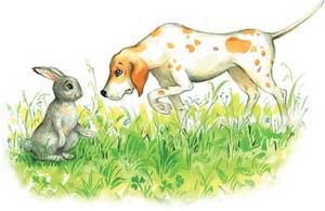 Заяц и гончая собака (Сказка Толстого Л.Н.), картинка