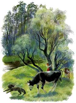 Бодливая корова (Сказка Ушинского К.Д.), рис.4