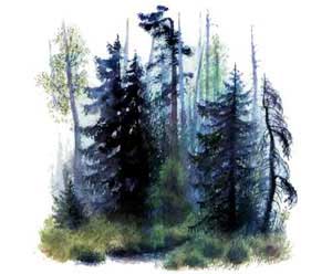 Лес и ручей (Сказка Ушинского К.Д.), картинка