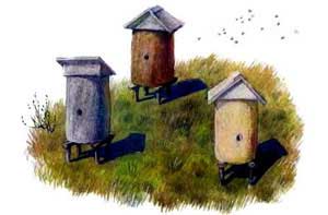 Пчёлки на разведках (Сказка Ушинского К.Д.), картинка